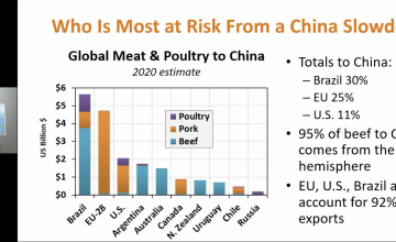 Brett Stuart discusses the future of the global meat trade in light of ASF and the post Covid-19 era at ChilePork event