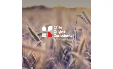 Programa “Chile Origen Consciente” inicia estrategia de posicionamiento en sus distintos públicos: productores, exportadores, instituciones del estado, organizaciones y academia, entre otros