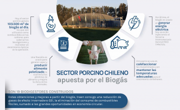 El sector porcino chileno está apostando por el biogás acorde a las exigencias actuales de sostenibilidad