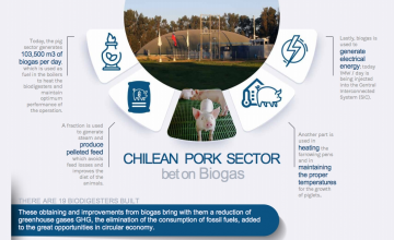 The chilean pork sector commits to biogas following current sustainability requirements