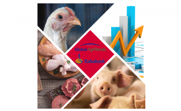 Rabobank y Global Agritrends proyectan un desafiante cierre de año para la industria porcina y un 2023 con la inflación presionando la demanda
