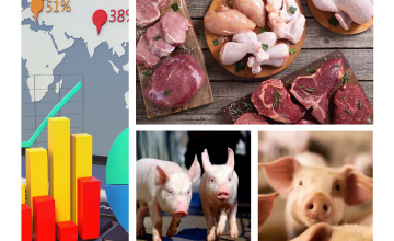 2022년 칠레 돼지고기 수출 결과와 라보뱅크(Rabobank)의 2023년 세계 전망