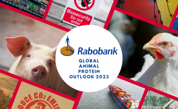 Rabobank 2023: Industria productora de carnes deberá proyectar su crecimiento en medio de desafíos y oportunidades