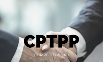 TPP-11’s benefits and opportunities for Chilean white meat exports