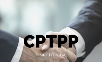 Los beneficios y oportunidades de la entrada en vigencia del CPTPP para las exportaciones chilenas de carnes de cerdo