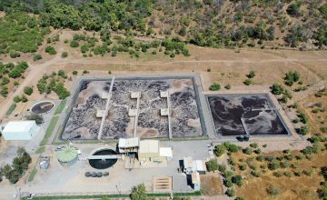 Primera Norma de Emisión de Olores en Chile: un desafío para el sector porcino