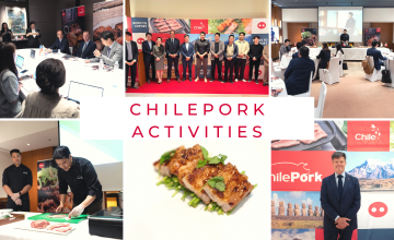 한국에서 열린 칠레포크 행사에서 칠레의 추적 가능한 돼지고기 생산 모델의 성공 강조