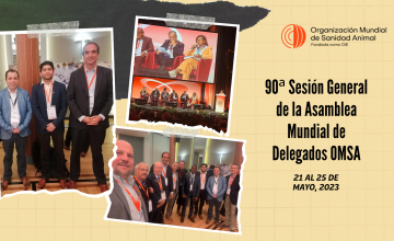 칠레포크, 동물 건강과 복지 관련 회의인 OMSA 세계 대표 총회 참석