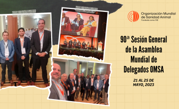 ChilePork estuvo presente en Asamblea Mundial de Delegados de la OMSA, encuentro enfocado en sanidad y bienestar animal