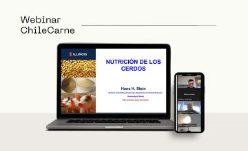 ChileCarne realizó webinar sobre avances en nutrición porcina con el Dr. Hans Stein