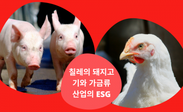 혁신과 지속 가능성, ESG 기준이 칠레 돼지고기 산업에 미치는 영향