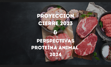 Proyección cierre 2023 para la industria porcina de Chile y perspectivas para la carne de cerdo en 2024: Un panorama desafiante según Rabobank y USDA