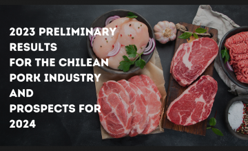 2023 preliminary results for the Chilean pork industry and prospects for 2024: A challenging outlook, say Rabobank and the USDA