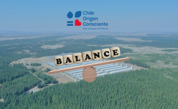 Chile Conscious Origin 2023 balance: Driving sustainability in the Chilean agri-food sector