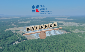 Balance 2023 Chile Origen Consciente: Impulsando la sostenibilidad en el sector agroalimentario chileno