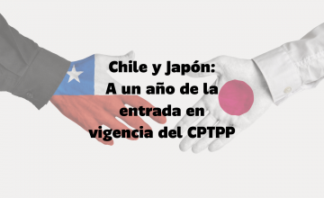Chile consolida su posición en el mercado japonés a casi un año de la entrada en vigencia del CPTPP