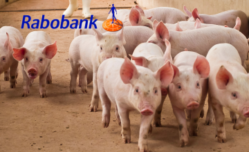 Rabobank expects caution in global pork expansion amid growing uncertainty Rabobank expects caution in global pork expansion amid growing uncertainty